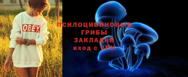 первитин Армянск