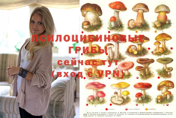 первитин Армянск